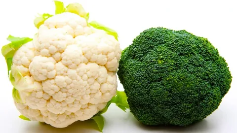 تصویر 2 از قیمت خرید کلم جنوبی با فروش عمده